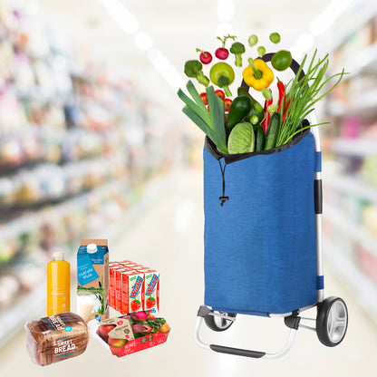 Сумка-візок ShoppingCruiser Foldable Blue (650061)