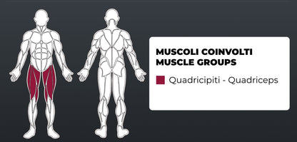 Тренажер для розгинання ніг Toorx FWX-4800 LEG EXTENSION