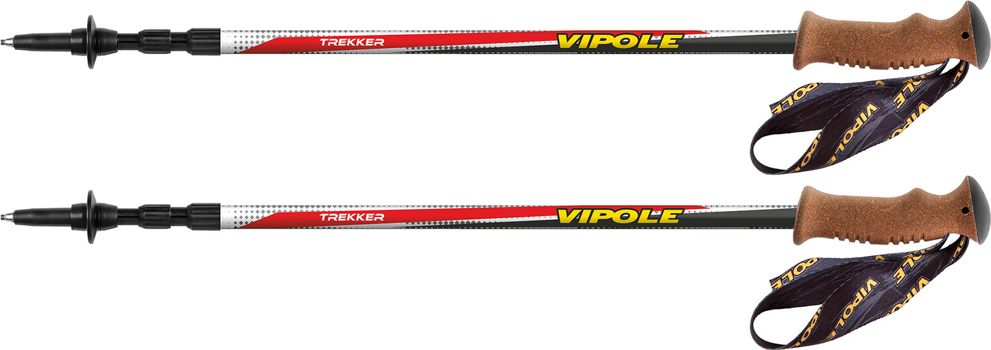 Трекінгові палиці Vipole Trekker Cork (S20 12)