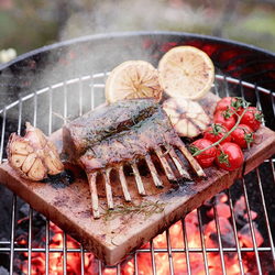 Соляная плита (блок) с подставкой (нерж.)  E2SLT для духовки/плиты Electrolux