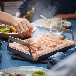 Соляная плита (блок) с подставкой (нерж.)  E2SLT для духовки/плиты Electrolux