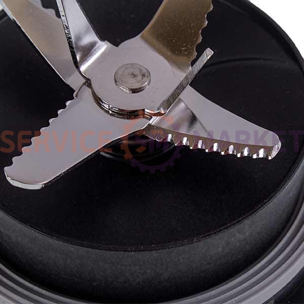 Electrolux 4055566014 Ніж - подрібнювач у зборі для блендера