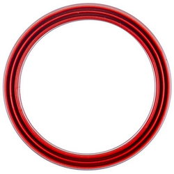 Ущільнювач кришки колектора Rational 54.01.168P 60x50mm