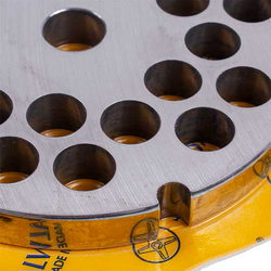 Решітка для м&aposясорубки Lame Italia PF3212SM 12mm D=100mm (с 2-мя пазами) Enterprise 32