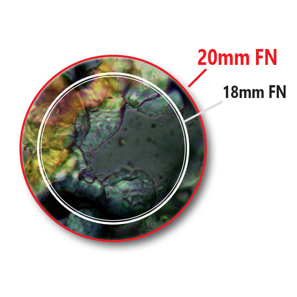 Мікроскоп Optika B-383Ph 40x-1000x Trino Phase Contrast