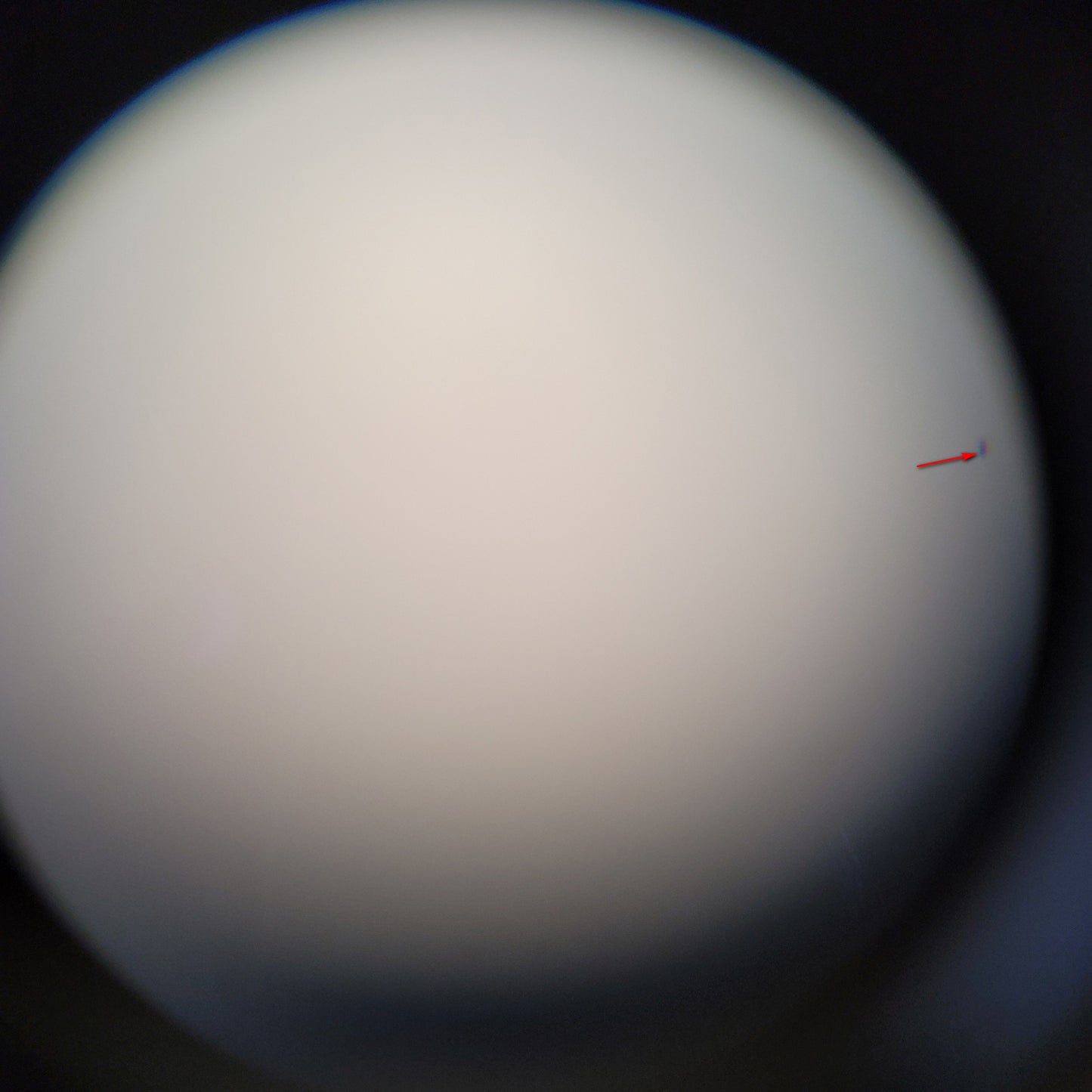 Бінокль Praktica Pioneer R 10x42 WP Umber (PRA244) Refurbished