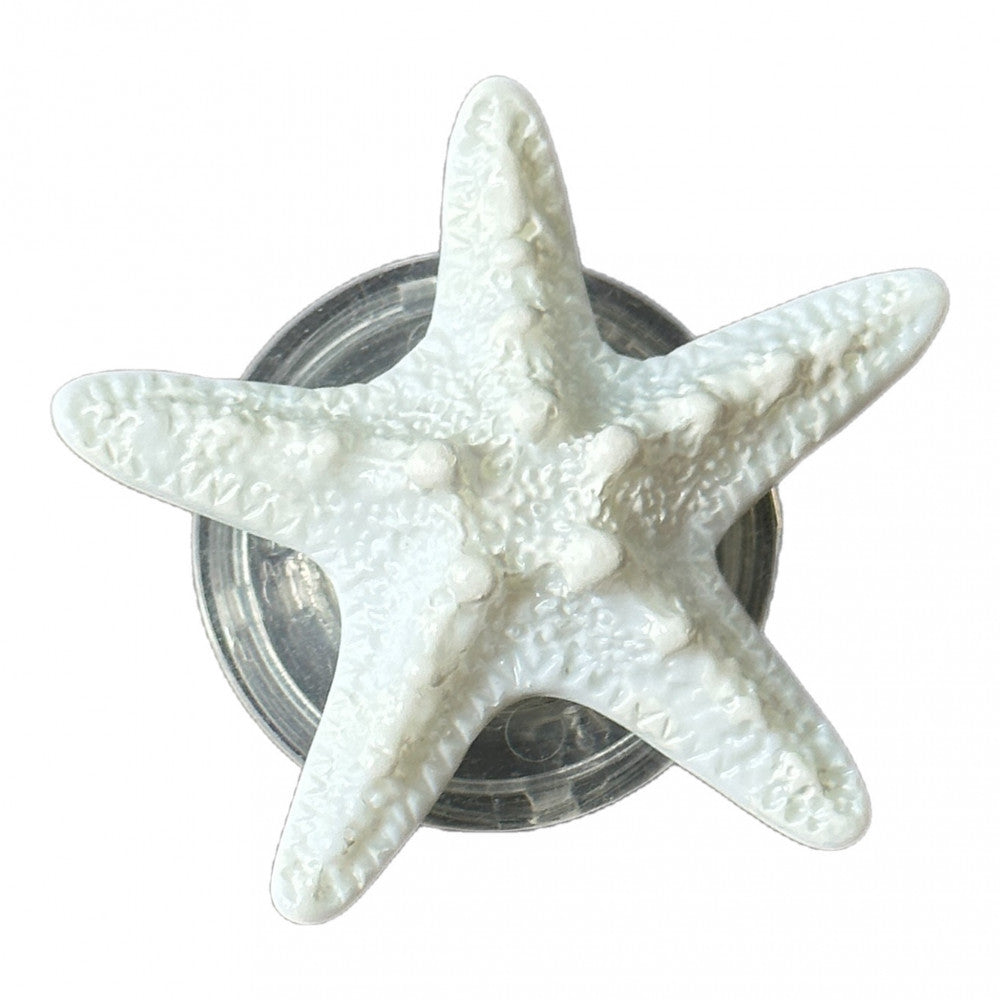 Popsocket « Marine Life  »  — Starfish