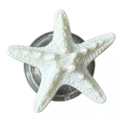 Popsocket « Marine Life  »  — Starfish