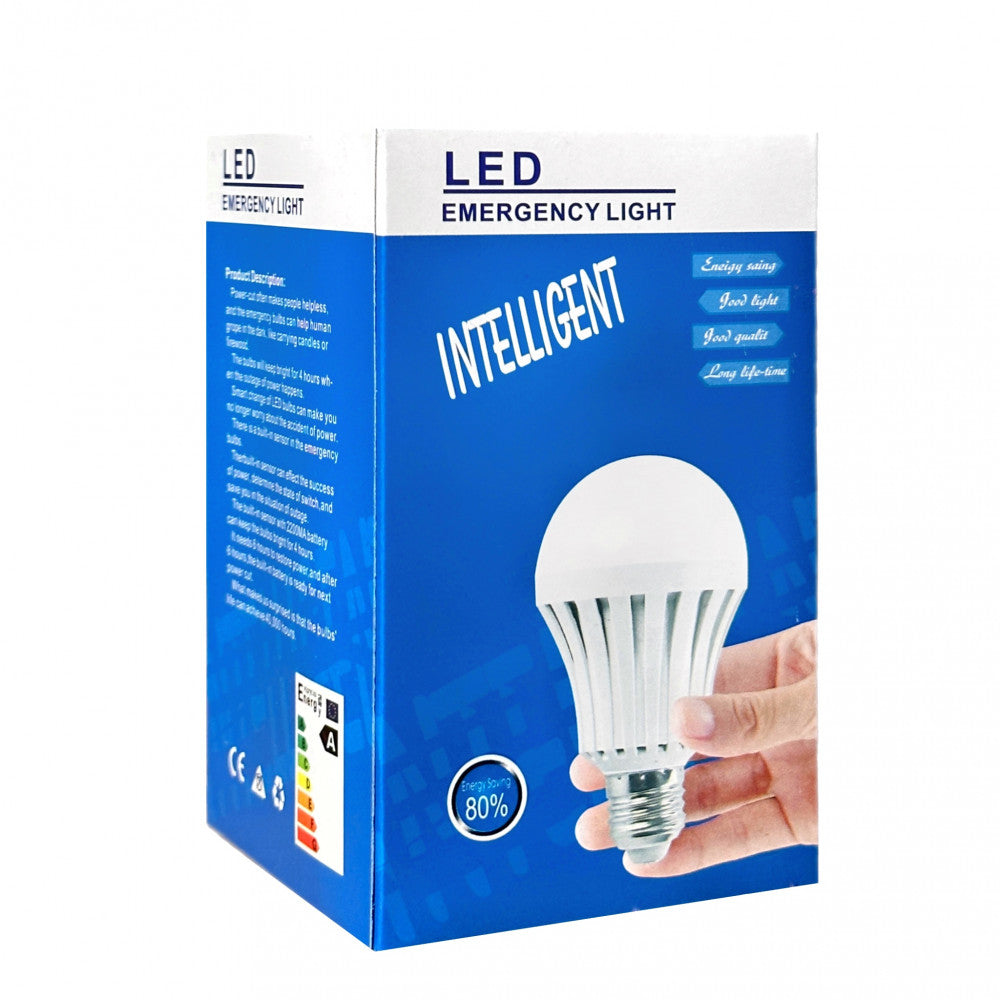 LED Lamp 5 Watt с аккумулятором E27