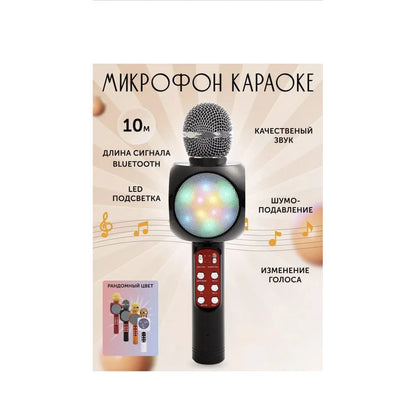 Bluetooth Karaoke Microphone — WS-1816