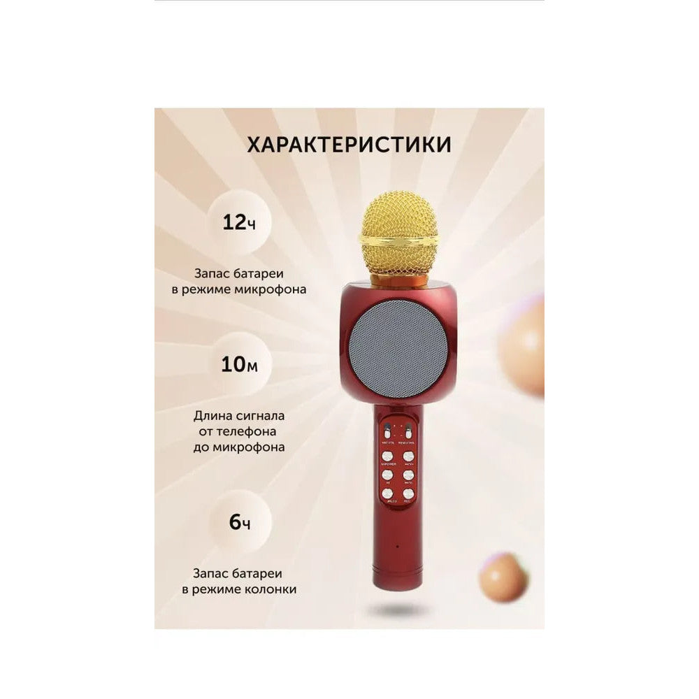 Bluetooth Karaoke Microphone — WS-1816