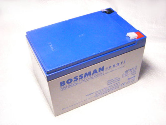 Bossman 12V 12Ah/20HR 153*100*95